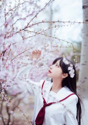 村又桑的秘密下册_BD手机在线观看